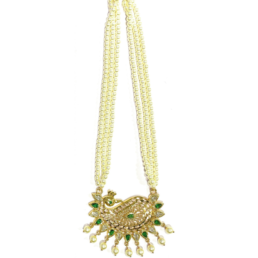 Green Mayur Tanmani Set With Matcing Tops