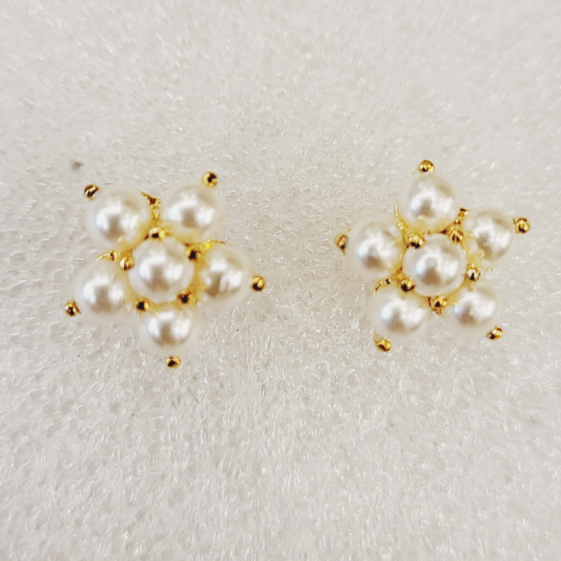Six Pearls Kudi m578 578